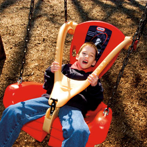 Inclusive Swing Seat